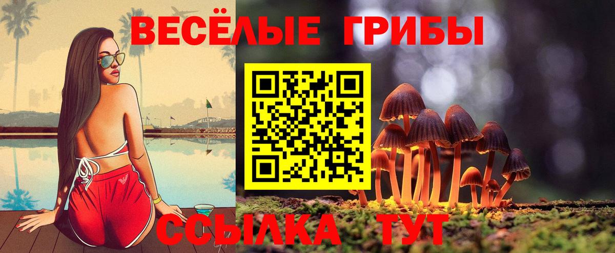 Псилоцибиновые грибы GOLDEN TEACHER  Псилоцибиновые грибы прущие грибы  как найти закладки  Ачинск  Вход с VPN 