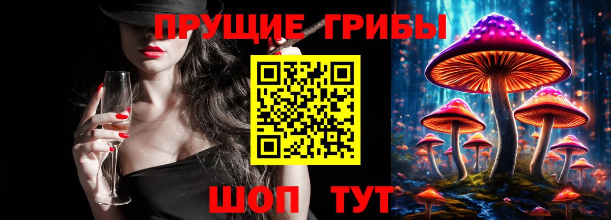 Псилоцибиновые грибы Psilocybe Ачинск